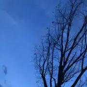 miya ✳︎値下げ交渉可✳︎の画像