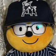 ぽんの画像