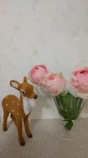 ばんび。の画像