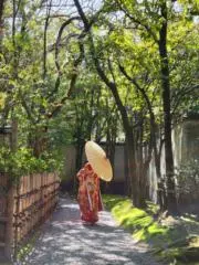 どりの画像