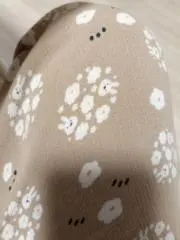 ますのもちの画像