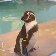 えぽ