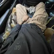 showhjii