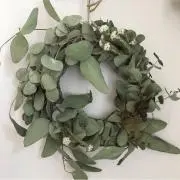 yuyuの画像