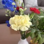 もっちゃんの画像