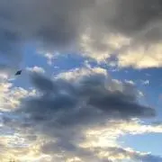 たーさん（初心者）