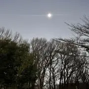 まめ