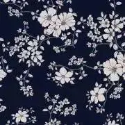 nasuの画像