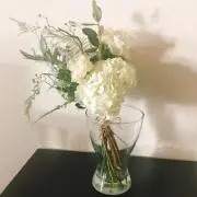 NANAの画像