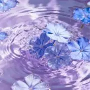 だびんちの画像