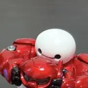 いぬきちの画像