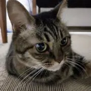 カナン