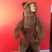 miの画像