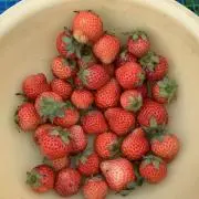 【中学・高校】Rの教材屋の画像
