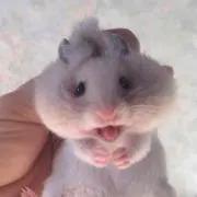 ゆ〜た
