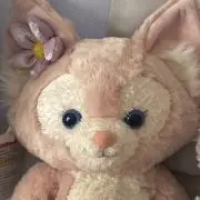 ynの画像