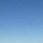 うめの画像