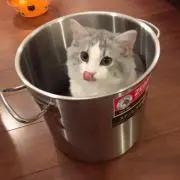 かのう