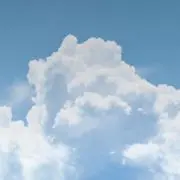 乾の画像