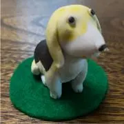かぶらっこの画像
