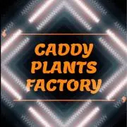 CADDY PLANTS FACTORYの画像