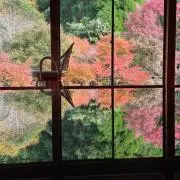 KNKトレードの画像