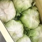 たつゆきの画像