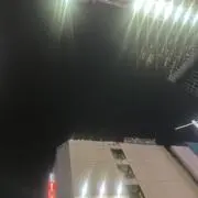 ジェイ