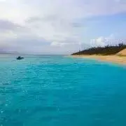 みるくの画像