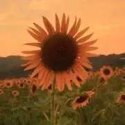 K⭐️の画像