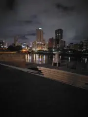 Mireeの画像