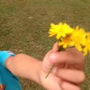 ミユキ