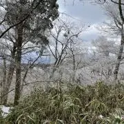 AKIの画像