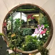 マリーゴールドの画像