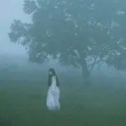 めるちゃ