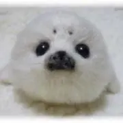 なんばーわんの画像