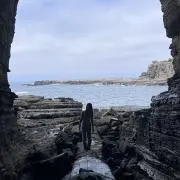 mircari