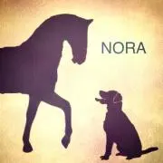 NORAの画像