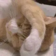 前髪▷プロフ必読
