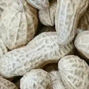 ツヌケ