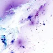 SN【プロフ読んでください】の画像