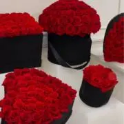 TSUKIの画像
