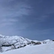 たつの画像