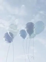 yの画像