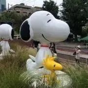 みーちゃんの画像