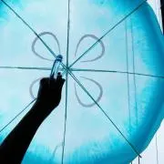 ぽぽん