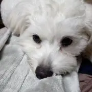 まさひろ