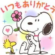 サノハルの画像