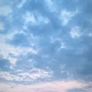 おもちの画像