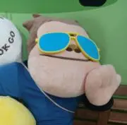 ぷこの画像